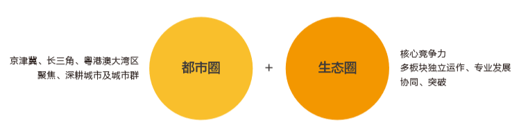 鴻坤的雙圈戰略示意圖