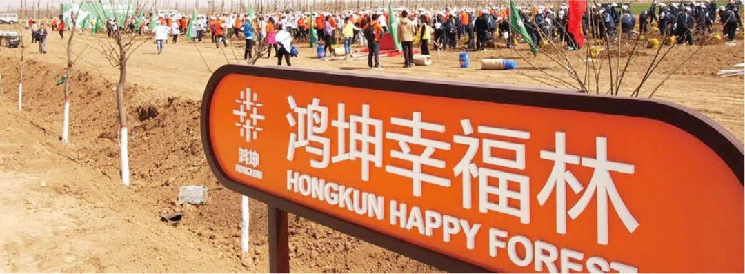 鴻坤綠色森林計劃實景拍攝