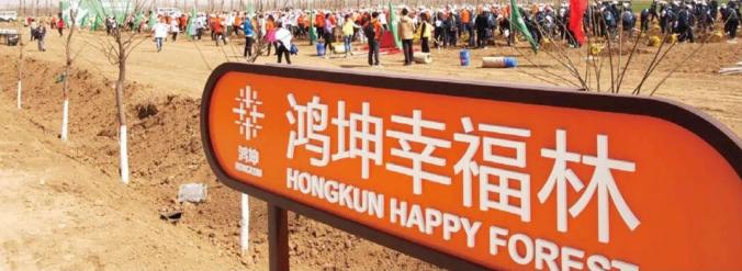 鴻坤綠色森林計劃實景拍攝